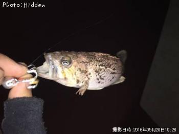 クロソイ