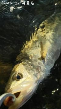 Х