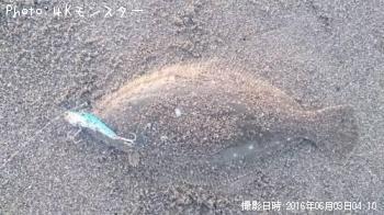 ソゲ