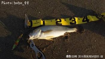 イシモチ