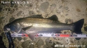 セッパ
