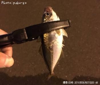 アジ