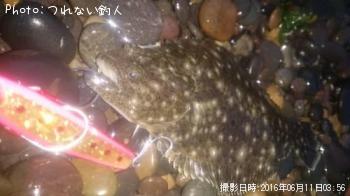 そげ