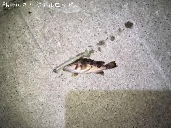 クロソイ