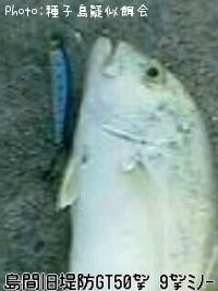 ˥󥢥
