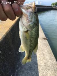 ¥Ö¥é¥Ã¥¯¥Ð¥¹