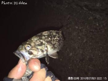 クロソイ