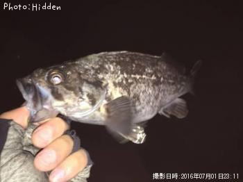 クロソイ