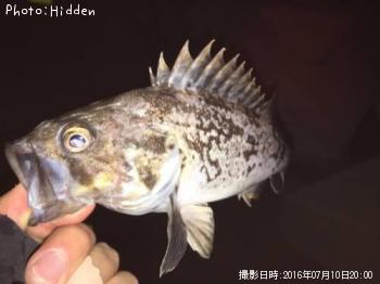 クロソイ