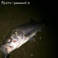 Х