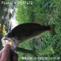 ֥åХ