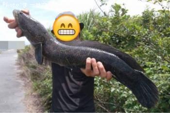 饤