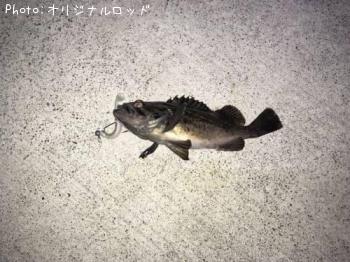 クロソイ