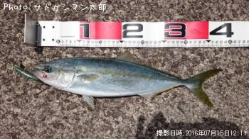 イナダ