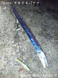 太刀魚
