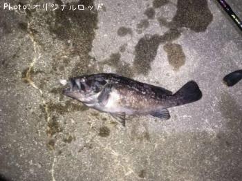 クロソイ