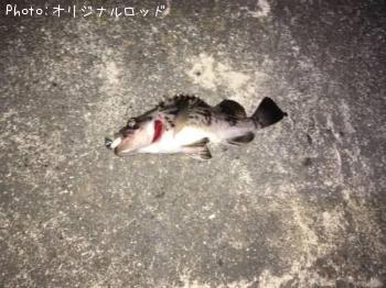 クロソイ
