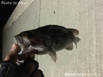 クロソイ