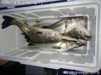 シーバス