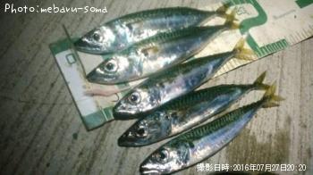 サバ