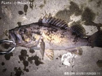 クロソイ