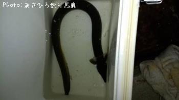 ʥ