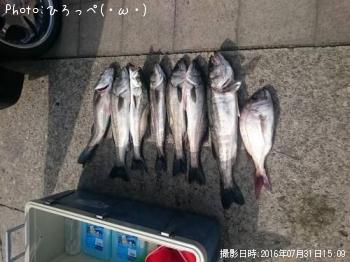 シーバス