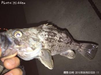 クロソイ