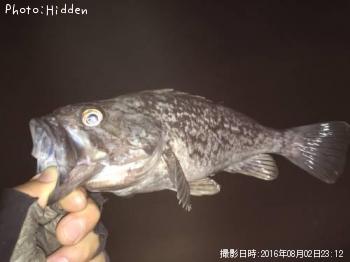 クロソイ