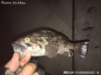 クロソイ