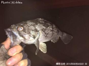 クロソイ