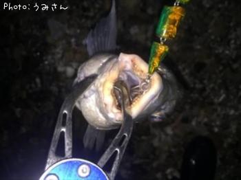 キビレ