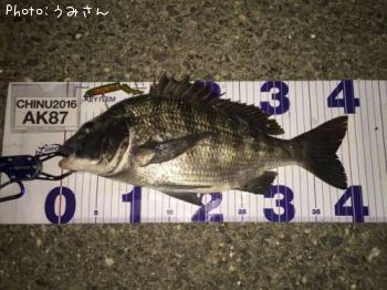 チヌ