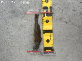 アナハゼ