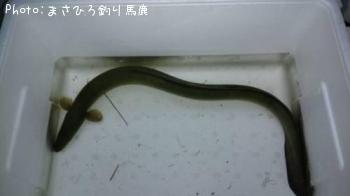 ʥ