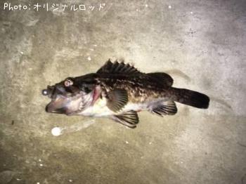 クロソイ