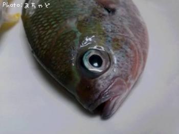 シチューグルクン【ユメウメイロ】