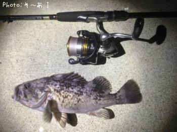 クロソイ