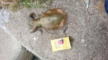 ꥤ
