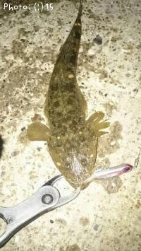 ޥХ