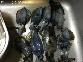 ¥¢¥ª¥ê¥¤¥«