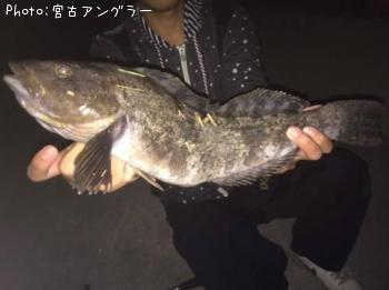 ʥ