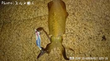 �����ꥤ��