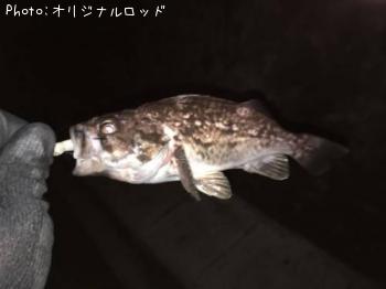 クロソイ