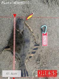 ヌマガレイ
