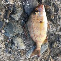 タイ