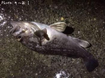 クロソイ