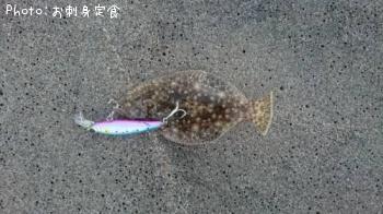 ソゲ