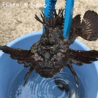 ハオコゼの化物