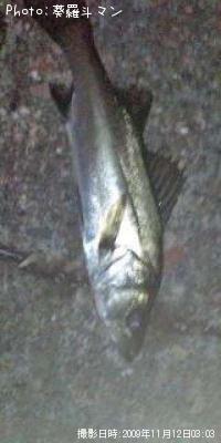 Х